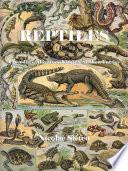 Reptiles