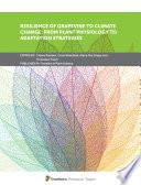 Resilience of Grapevine to Climate Change: From Plant Physiology to Adaptation Strategies