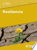 Resiliencia