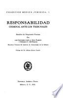 Responsabilidad criminal ante los tribunales