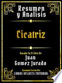 Resumen Y Analisis - Cicatriz - Basado En El Libro De Juan Gomez Jurado