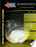 Revista Acuariofilia Total Edición #16
