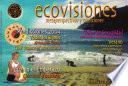 Revista Ecovisiones n11
