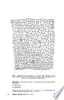 Revista militar de veterinaria