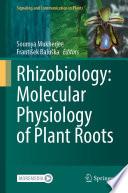 Rhizobiology: Molecular Physiology of Plant Roots