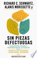 Richard C. Schwartz, Alanis Morissette y SIN PIEZAS DEFECTUOSAS