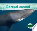 Rorcual austral