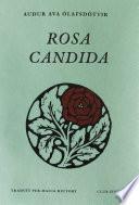 Rosa candida