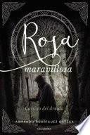 Rosa maravillosa