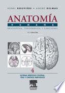Rouvière, H., Anatomía Humana Descriptiva, topográfica y funcional, 11a ed. ©2005 Últ. Reimpr. 2006