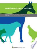 Ruminant Mastitis: A 360° View