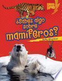 ¿Sabes algo sobre mamíferos? (Do You Know about Mammals?)