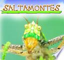 Saltamontes