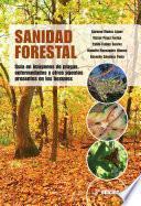 Sanidad forestal