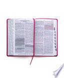 Santa Biblia de Promesas Reina-Valera 1960 / Tamaño Manual / Letra Grande / Piel Especial Con Índice / Fucsia // Spanish Promise Bible Rv60 / Handy Si