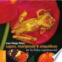 Sapos, mariposas y orquideas en la linea equinoccial