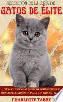 SECRETOS DE LA CRÍA DE GATOS DE ÉLITE