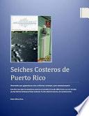 Seiches Costeros de Puerto Rico