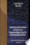 Sentido y exterioridad