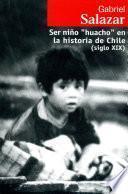 Ser niño huacho en la historia de Chile (siglo XIX)