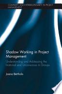 Shadow Working in Project Management