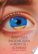 Sinfonía inconclusa de ruidos y sombras