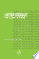 Sinfonía molecular de la vida orquestada por el ADN... y el ARN