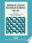 Sistema de Cuentas Nacionales de México 1988-1991. Tomo III. Cuentas de producción a precios corrientes y constantes