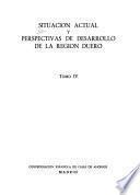 Situación actual y perspectivas de desarrollo de la región Duero