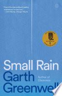Small Rain