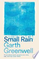 Small Rain