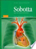 Sobotta. Atlas de Anatomía Humana. Tomo 2. Tronco, vísceras y miembro inferior.