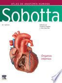 Sobotta. Atlas de anatomía humana. Vol 2