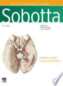Sobotta. Atlas de anatomía humana. Vol 3