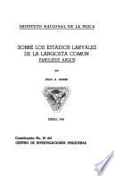 Sobre los estadios larvales de la langosta común, Panulirus argus