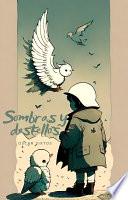 Sombras y destellos