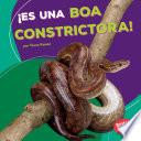 SPA-ES UNA BOA CONSTRICTORA (I