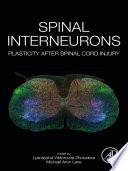 Spinal Interneurons
