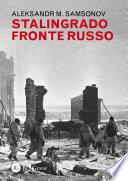 Stalingrado fronte russo
