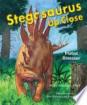 Stegosaurus Up Close