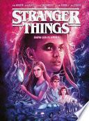 Stranger Things - Dans les flammes (ePub)