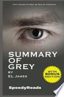 Summary of Grey: Fifty Shades of Grey as Told by Christian (Fifty Shades of Grey Series) - Finish Entire Novel in 15 Mi