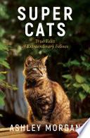 Super Cats