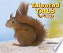 Talented Tails Up Close