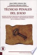 Técnicas penales del juicio
