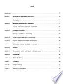 Tecnologías de organización y estrategias competitivas