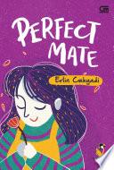 TeenLit: Perfect Mate