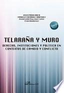Telaraña y muro: derecho, instituciones y política en contextos de cambio y conflicto