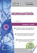 Temas Clave Neuroanatoma / Key Topics - Neuroanatomy
