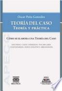 Teoría del caso. teoría y práctica